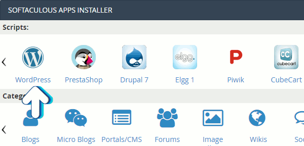 Softaculous WordPress install in cPanel